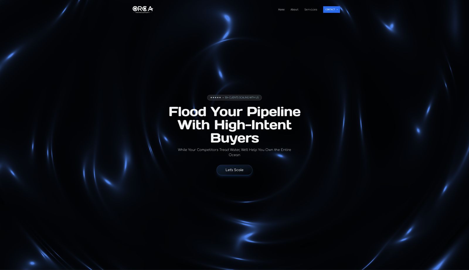 The Orca Management website homepage